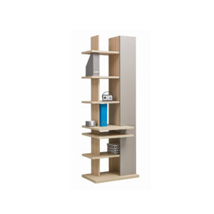 Bookcase-Graphic-2.jpg