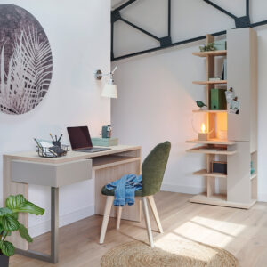 Bookcase-Graphic-3.jpg