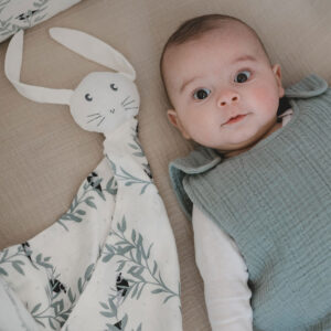 rabbit-edgar-2.jpg